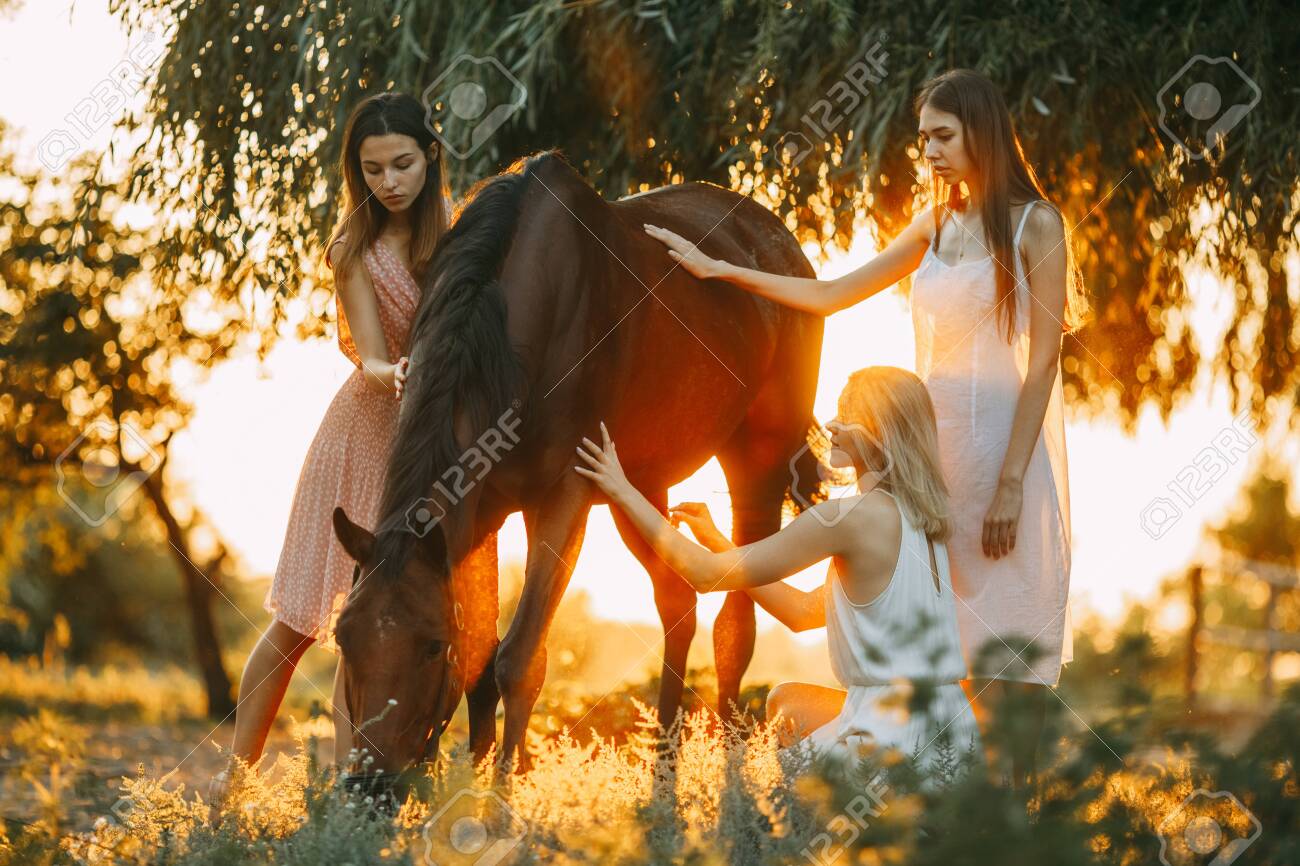 Three young women are next to the brown horse under the tree at sunset. Backlight. - 128511117