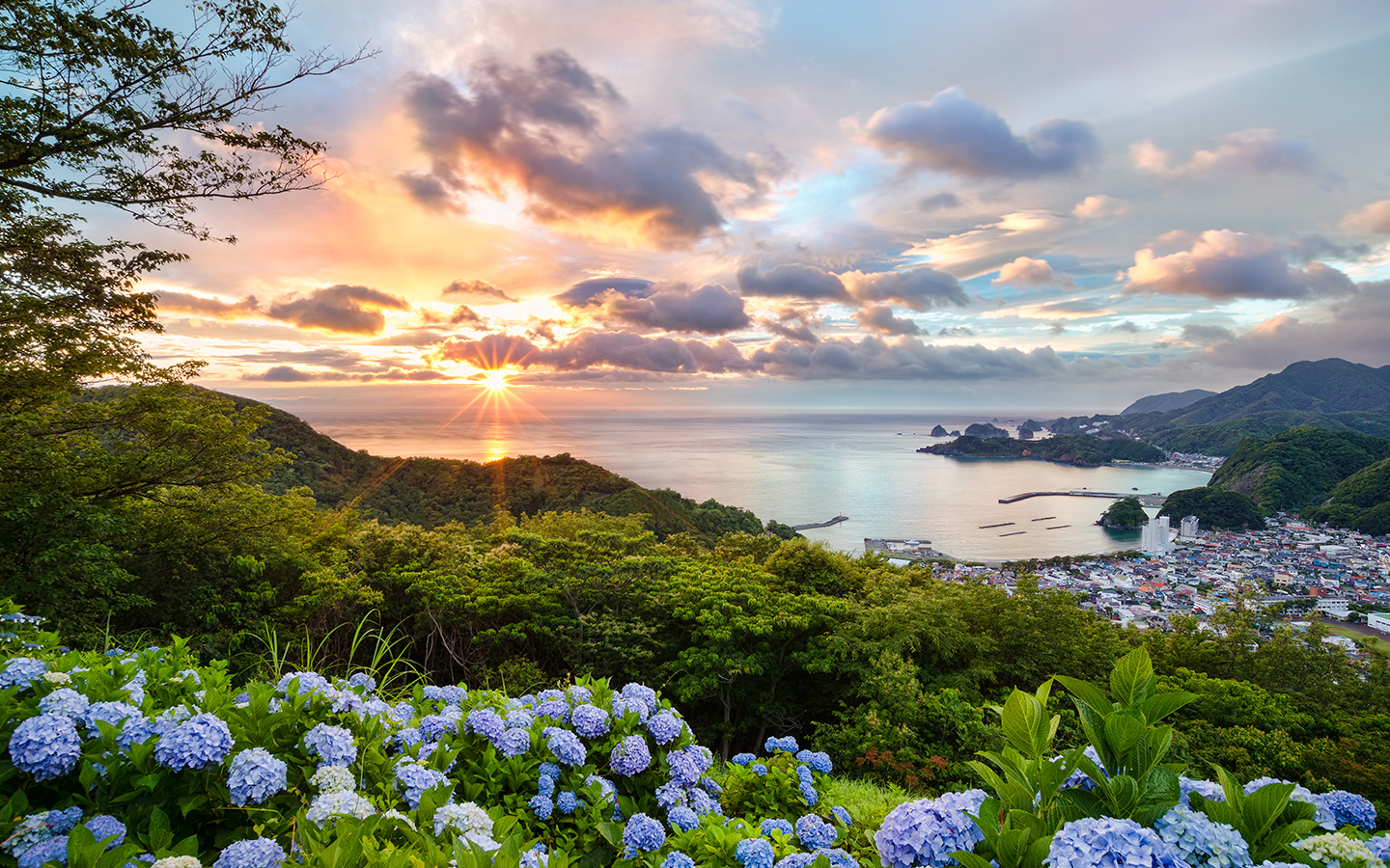 1440x900 px, clouds, coast, flowers, ocean, sunlight, sunset