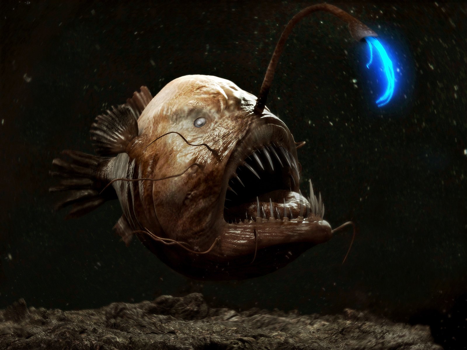 1600x1200 px, Anglerfish, creepy, dark, fangs, fish, monster, ocean, sea, underwater