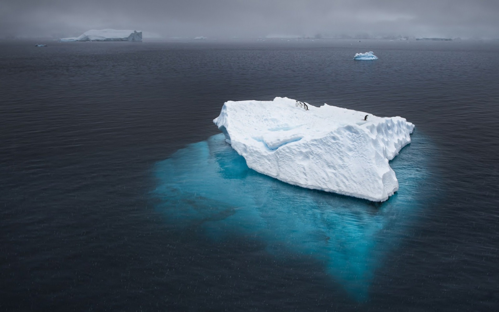 1920x1200 px, Antarctica, iceberg, ocean, penguins