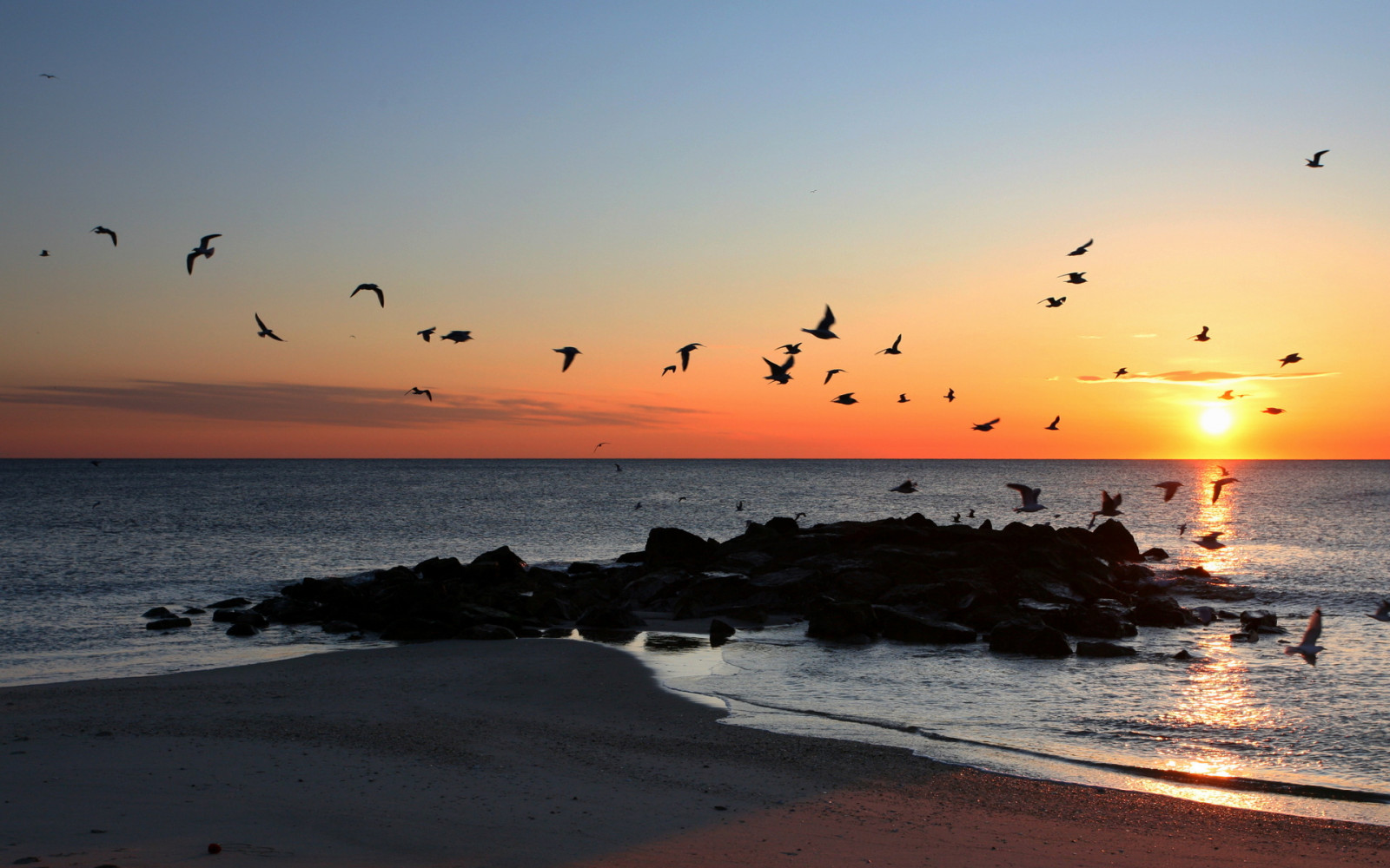 1920x1200 px, beaches, birds, ocean, sea, sunset