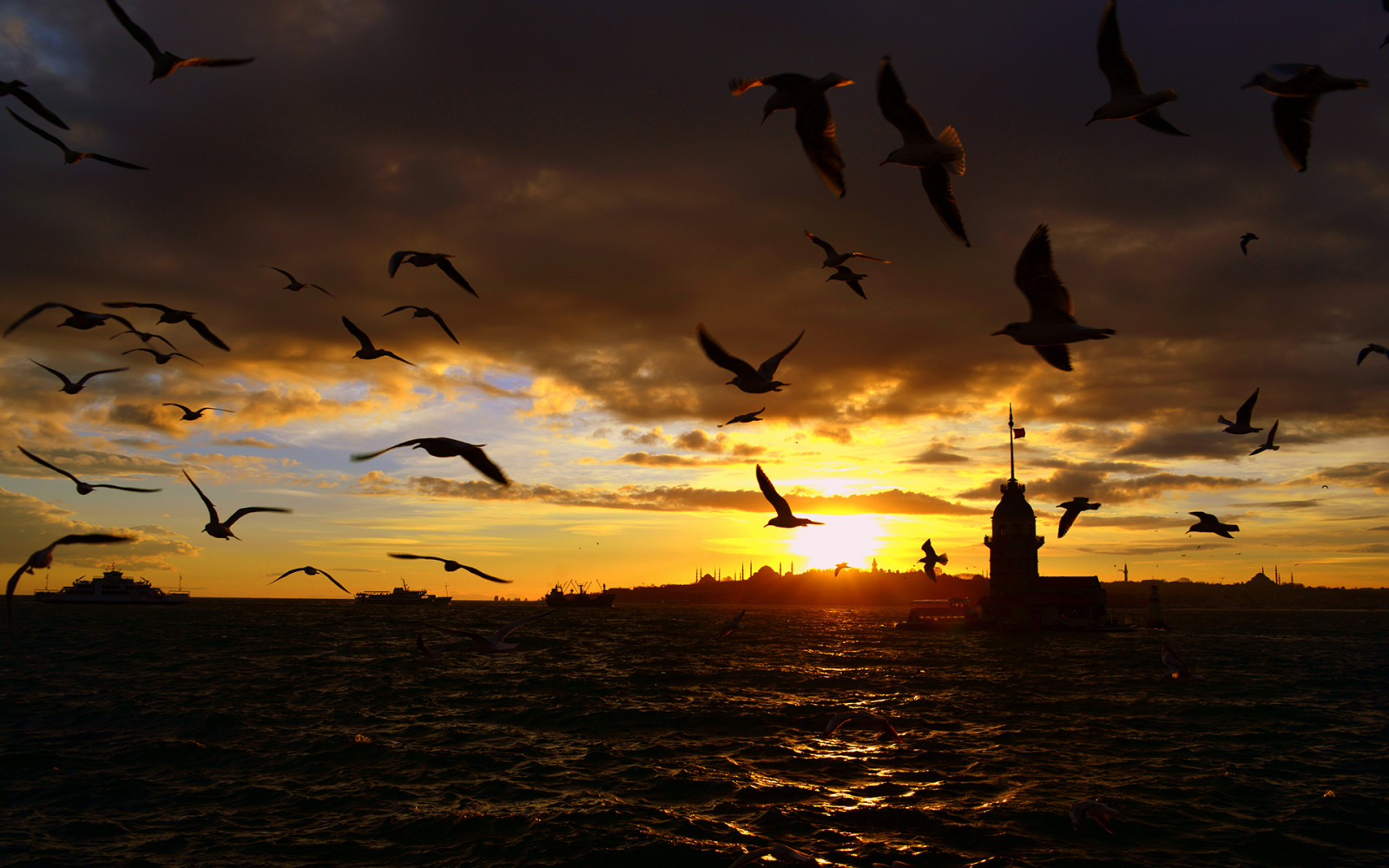 1920x1200 px, birds, Istanbul, ocean, sunset