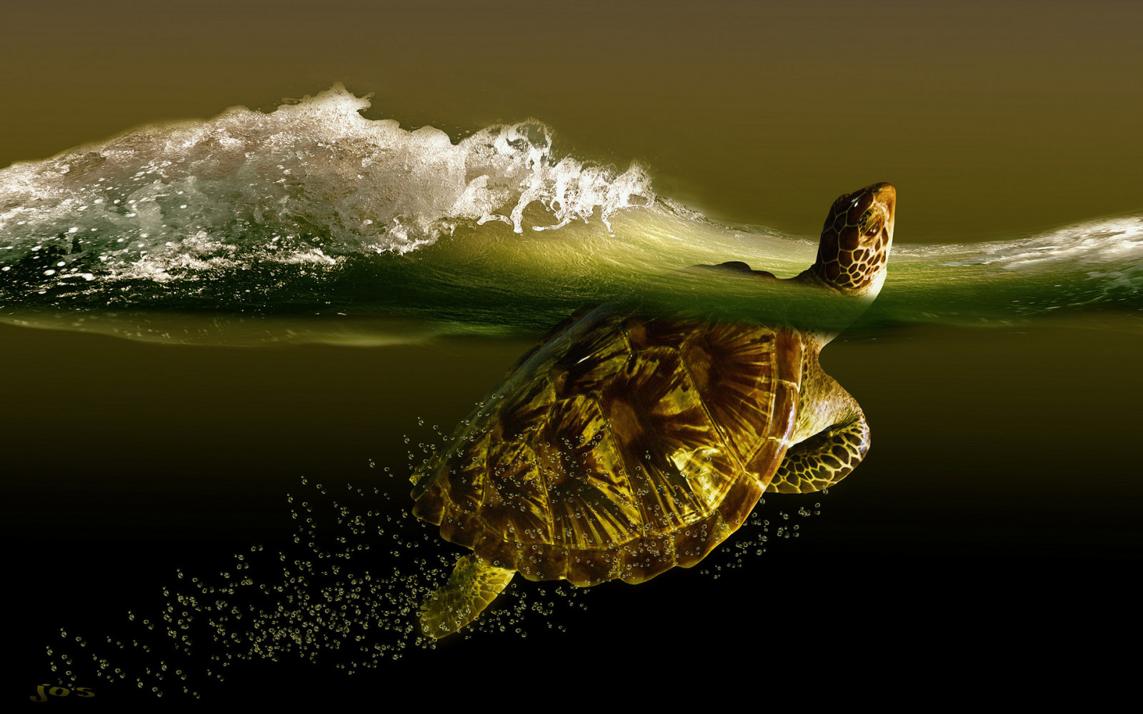 1920x1200 px, bubbles, ocean, sea, turtle, turtles, underwater, wave, waves