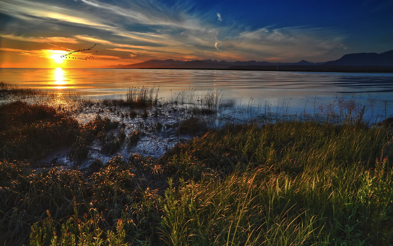 1920x1200 px, DeviantArt, grass, landscapes, nature, ocean, skyscapes, sunset