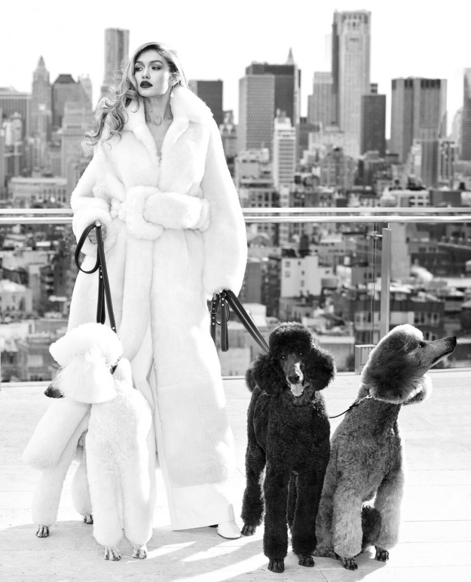 Gigi Hadid: pic #1028969