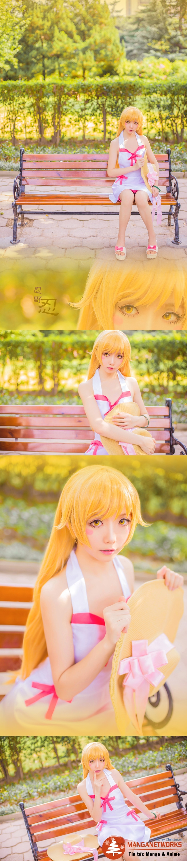 24184631020 7e7a94c83f o Tan chảy với những hình ảnh Cosplay Shinobu