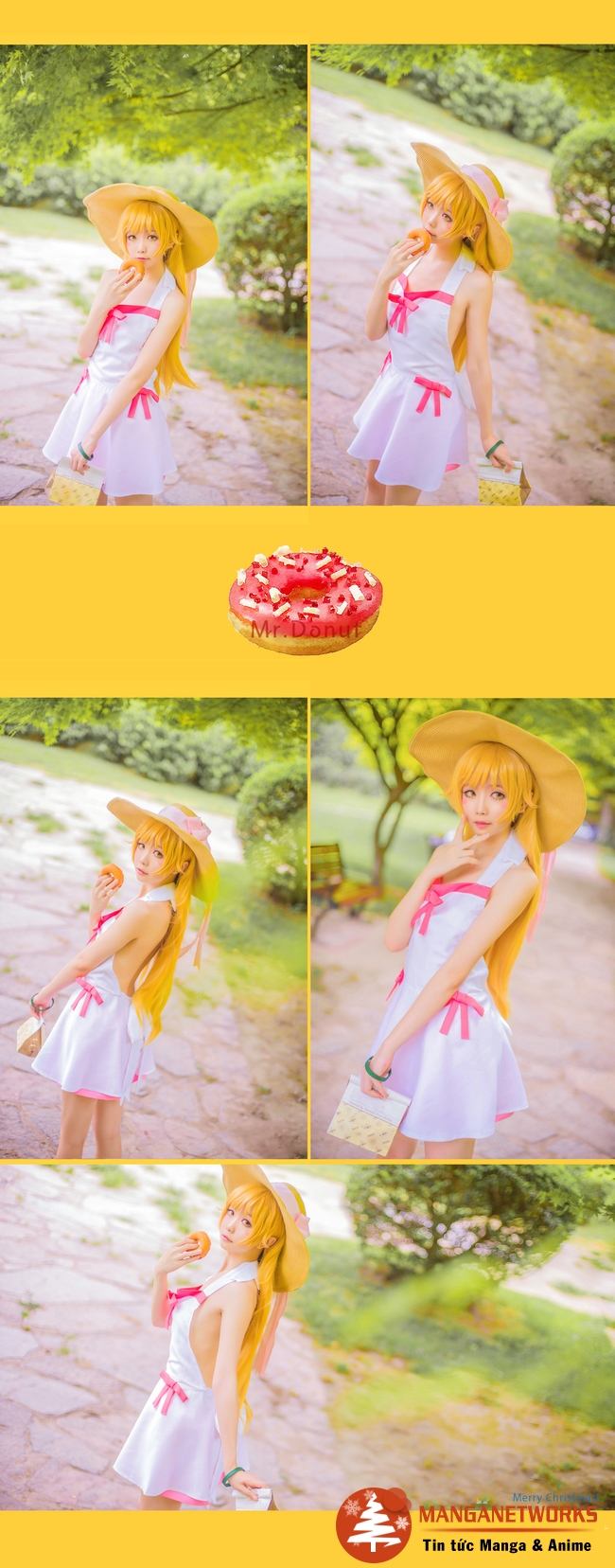 24397831811 3ca9e185fb o Tan chảy với những hình ảnh Cosplay Shinobu