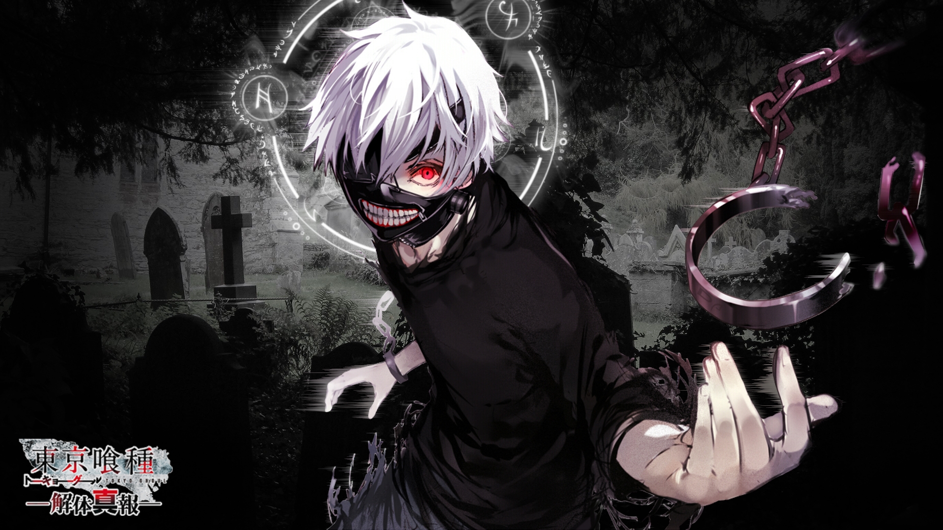 Tokyo Ghoul (9)