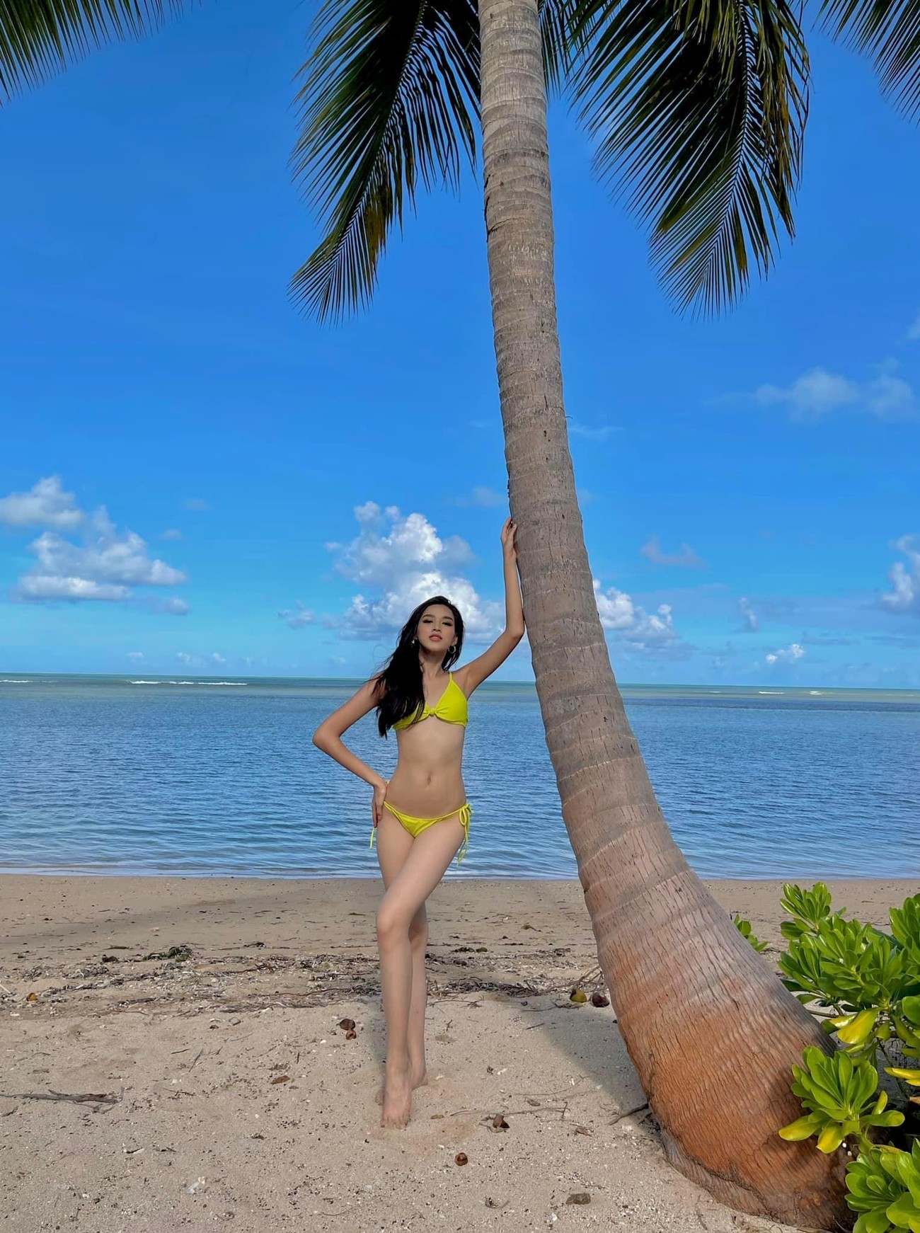 Lần đầu mặc bikini ở Miss World, Đỗ Thị Hà khiến fan 'phát sốt' với body cực nóng bỏng ảnh 4