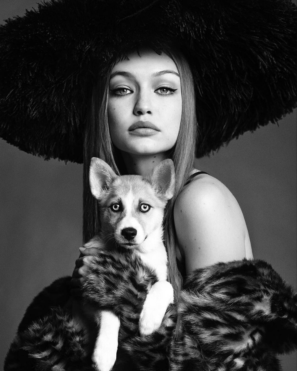 Gigi Hadid: pic #969848