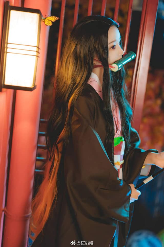 Ngắm nhìn Em gái quốc dân Nezuko trong Kimetsu no Yaiba qua bộ ảnh cosplay đẹp mắt - Ảnh 3.