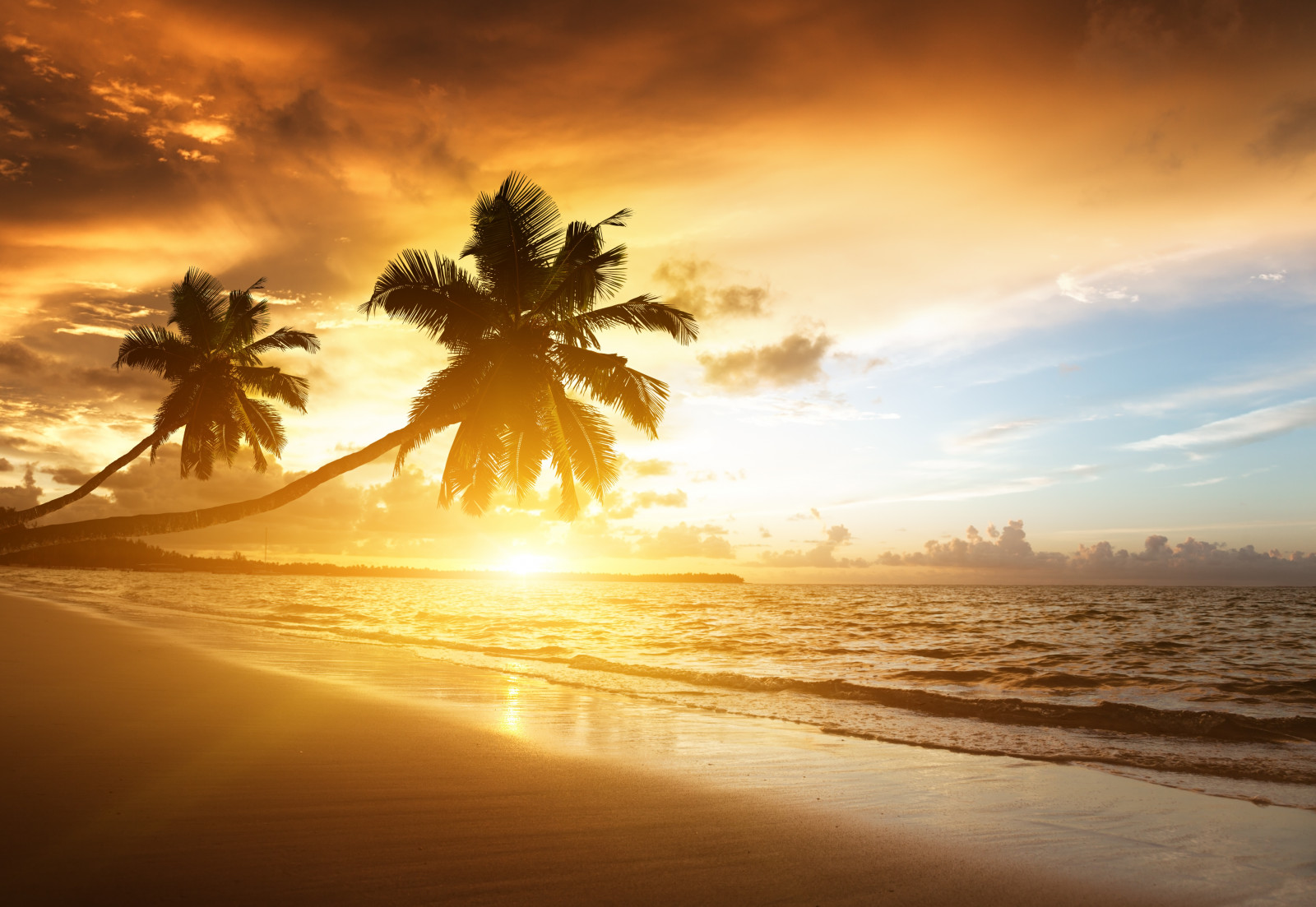 sunlight, sunset, sea, sand, reflection, beach, sunrise, evening, morning, palm trees, Sun, horizon, dusk, cloud, dawn, ocean, wave, tropics