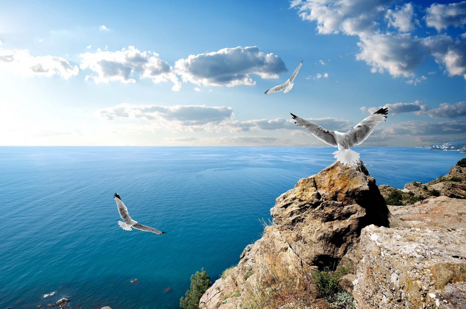 sunlight, sea, bay, rock, nature, shore, sky, jumping, clouds, beach, coast, cliff, seagulls, horizon, rocks, cape, Black Sea, vacation, Terrain, cloud, ocean, wave, seabird, body of water, extreme sport