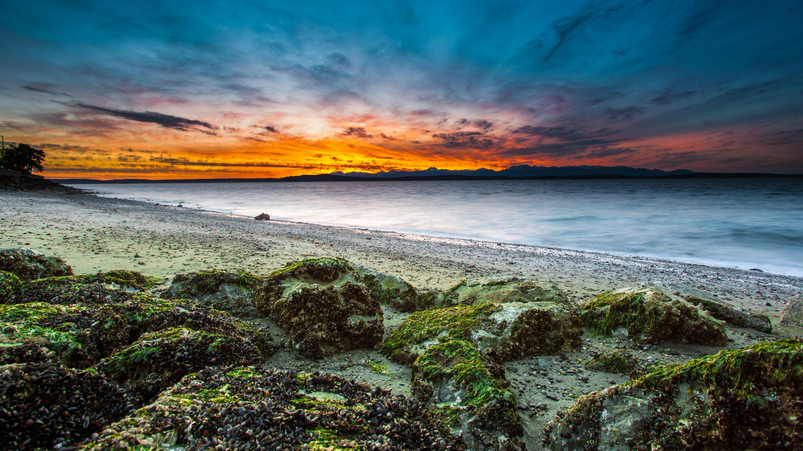 coast, reefs, rocks, ocean