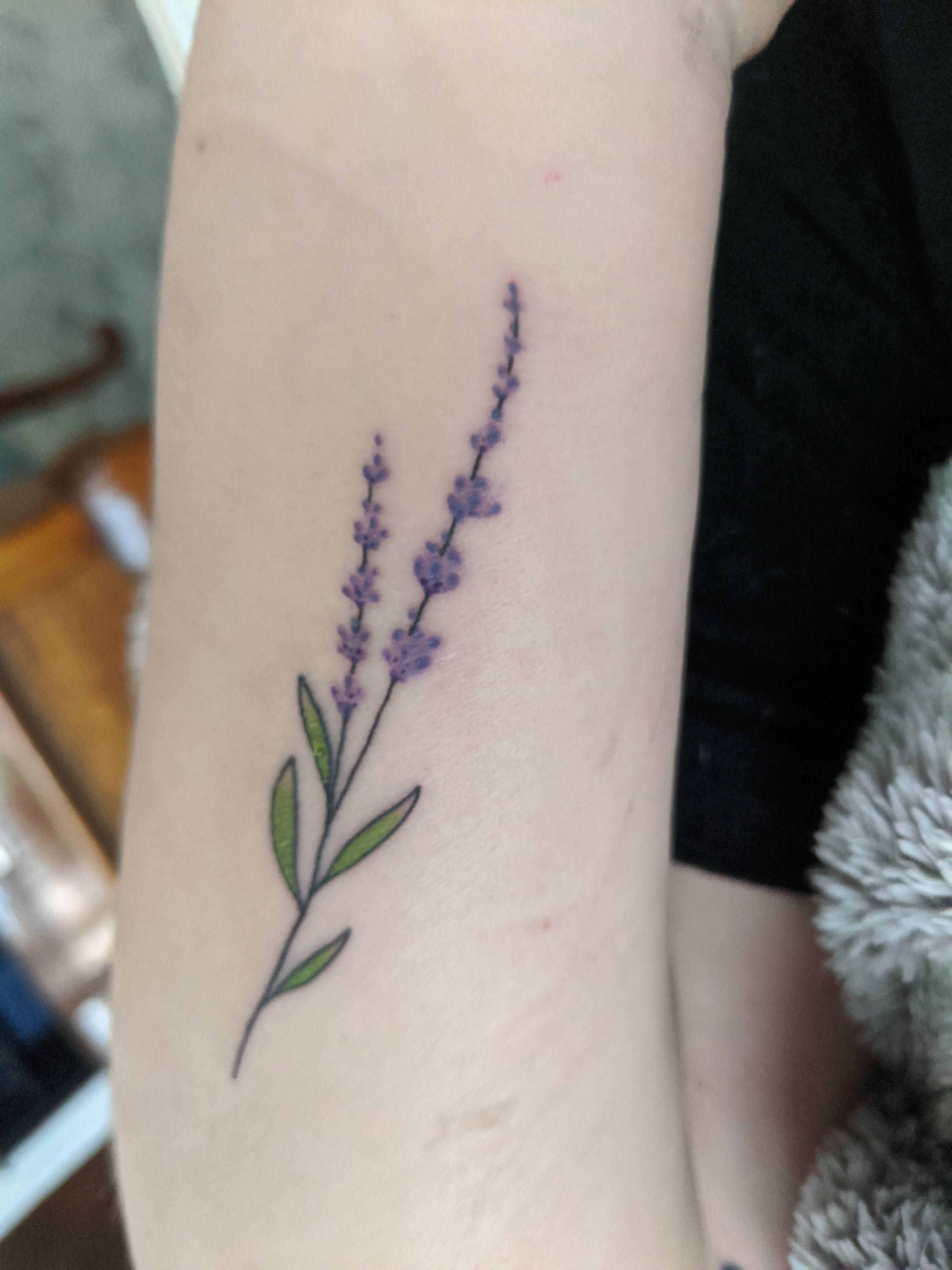 Simple lavender. My first color tattoo done by Chris at Uptown Tattoo in Minneapolis MN. | Lavender tattoo, Inspirational tattoos, Tattoo lettering fonts