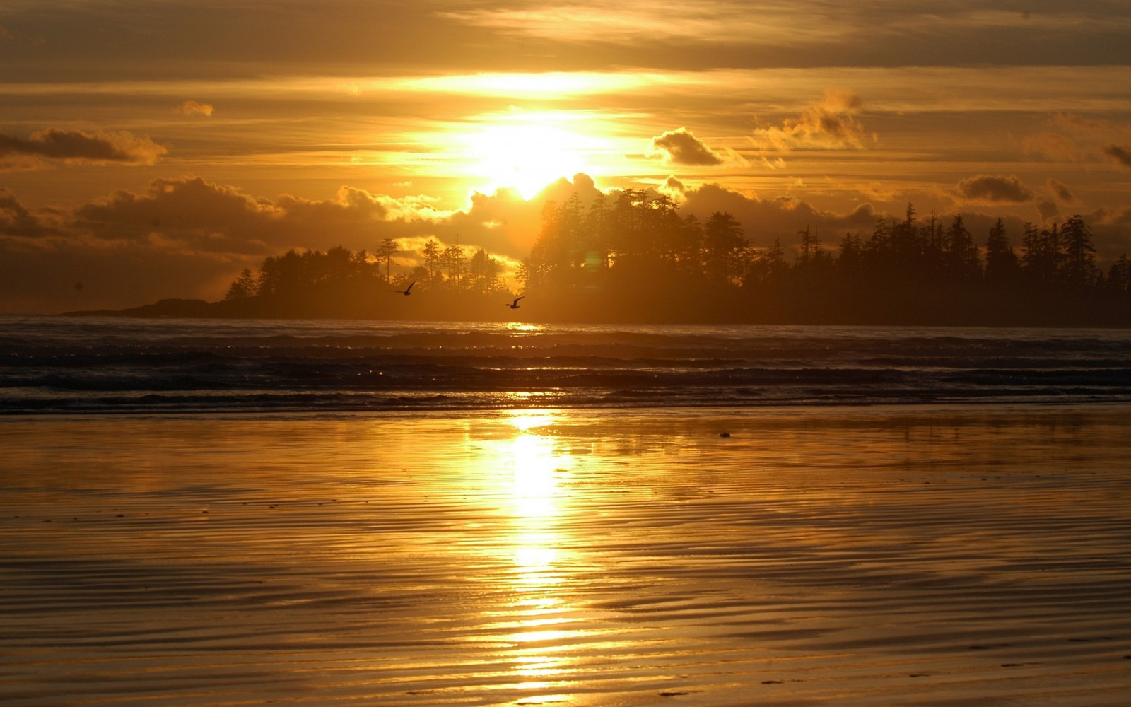 sunlight, trees, birds, sunset, sea, water, shore, reflection, sky, sunrise, calm, evening, morning, Sun, horizon, atmosphere, dusk, cloud, dawn, ocean, wave, afterglow, red sky at morning, decline