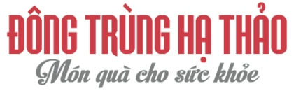 dong-trung-ha-thao-text