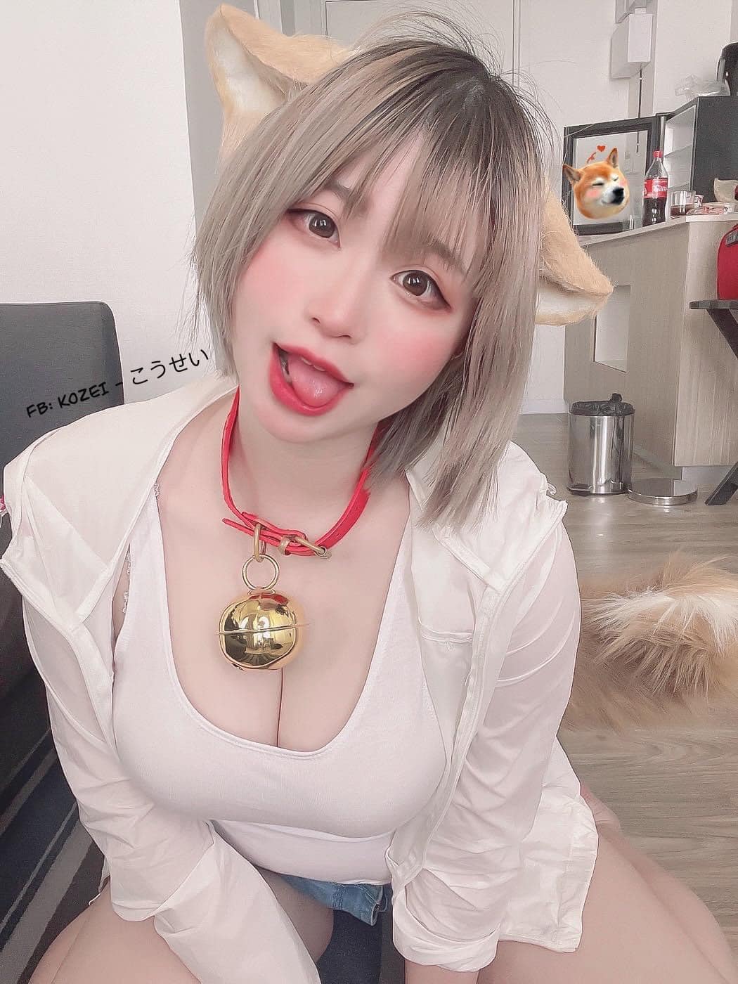 Ảnh cosplay bé mèo BB của Kozei 9