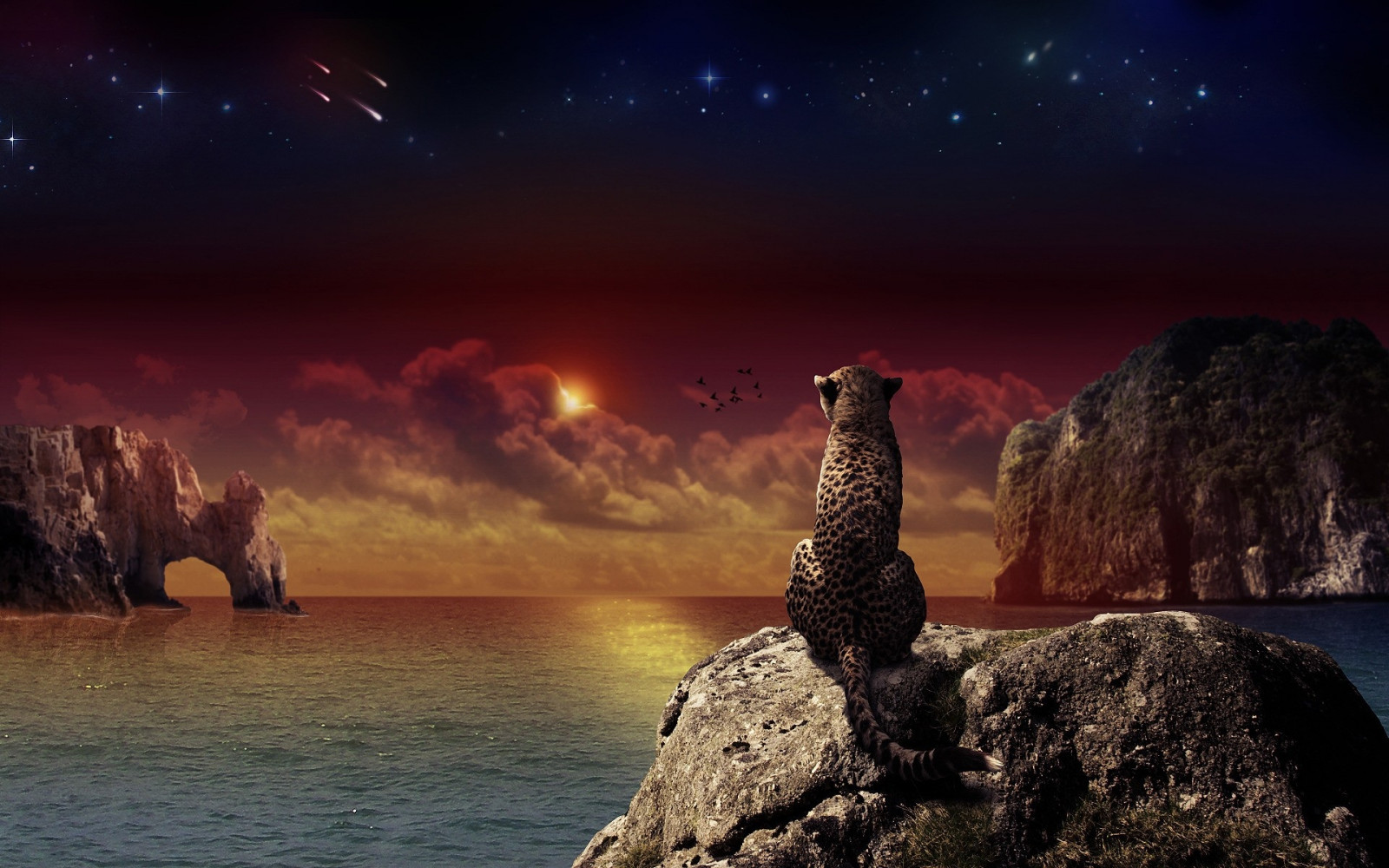 landscape, sunset, sea, night, water, rock, nature, space, sky, sitting, beach, Earth, sunrise, evening, horizon, atmosphere, leopard, dawn, ocean, darkness, screenshot, computer wallpaper, outer space, geological phenomenon, phenomenon