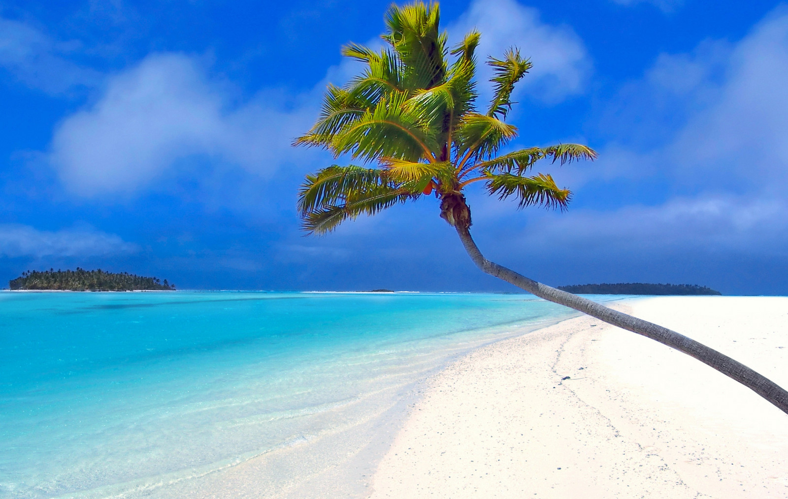 sunlight, sea, sand, sky, beach, coast, palm trees, island, lagoon, Caribbean, Maldives, tree, ocean, tropics, landform, ecosystem, body of water, arecales