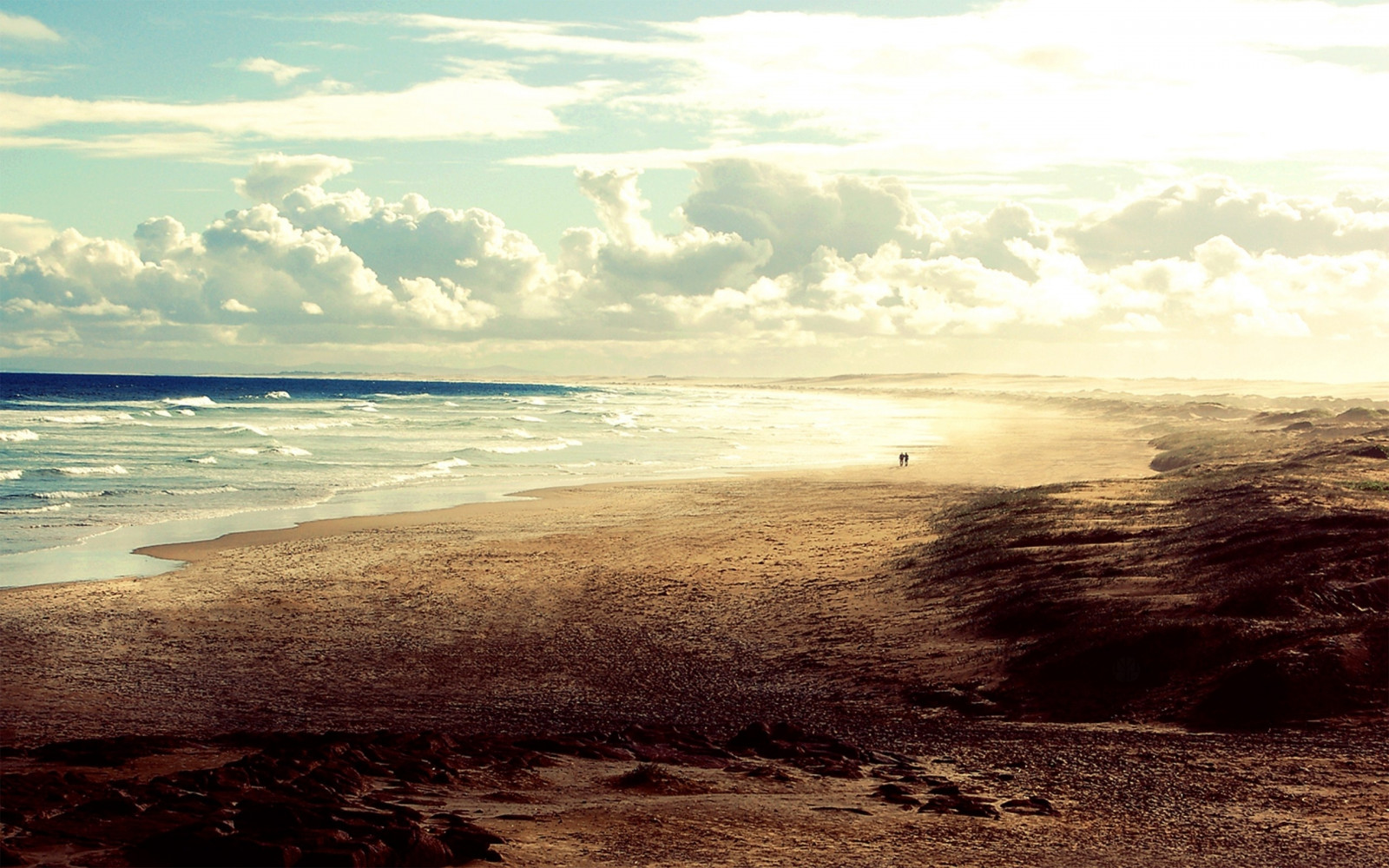 ocean, coast, beach, pair, desert, waves