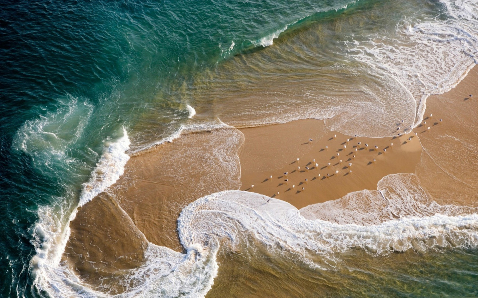 ocean, island, seagulls, sand, waves, foam