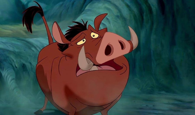 phconheo pumbaa