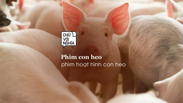 phconheo phim hoạt hình con heo