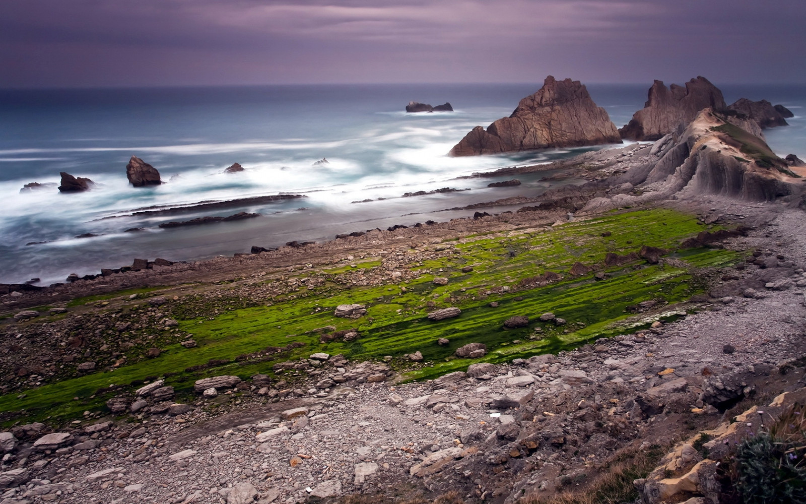 rocks, coast, ocean, cloudy, grass, greens