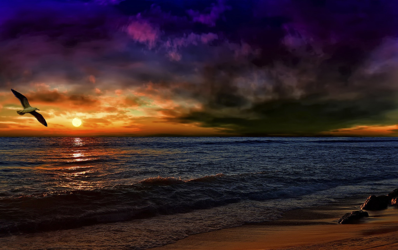 sunlight, Photoshop, sunset, sea, shore, sand, sky, beach, sunrise, evening, morning, coast, flying, horizon, dusk, cloud, dawn, ocean, wave, paint, gull, afterglow, body of water, wind wave