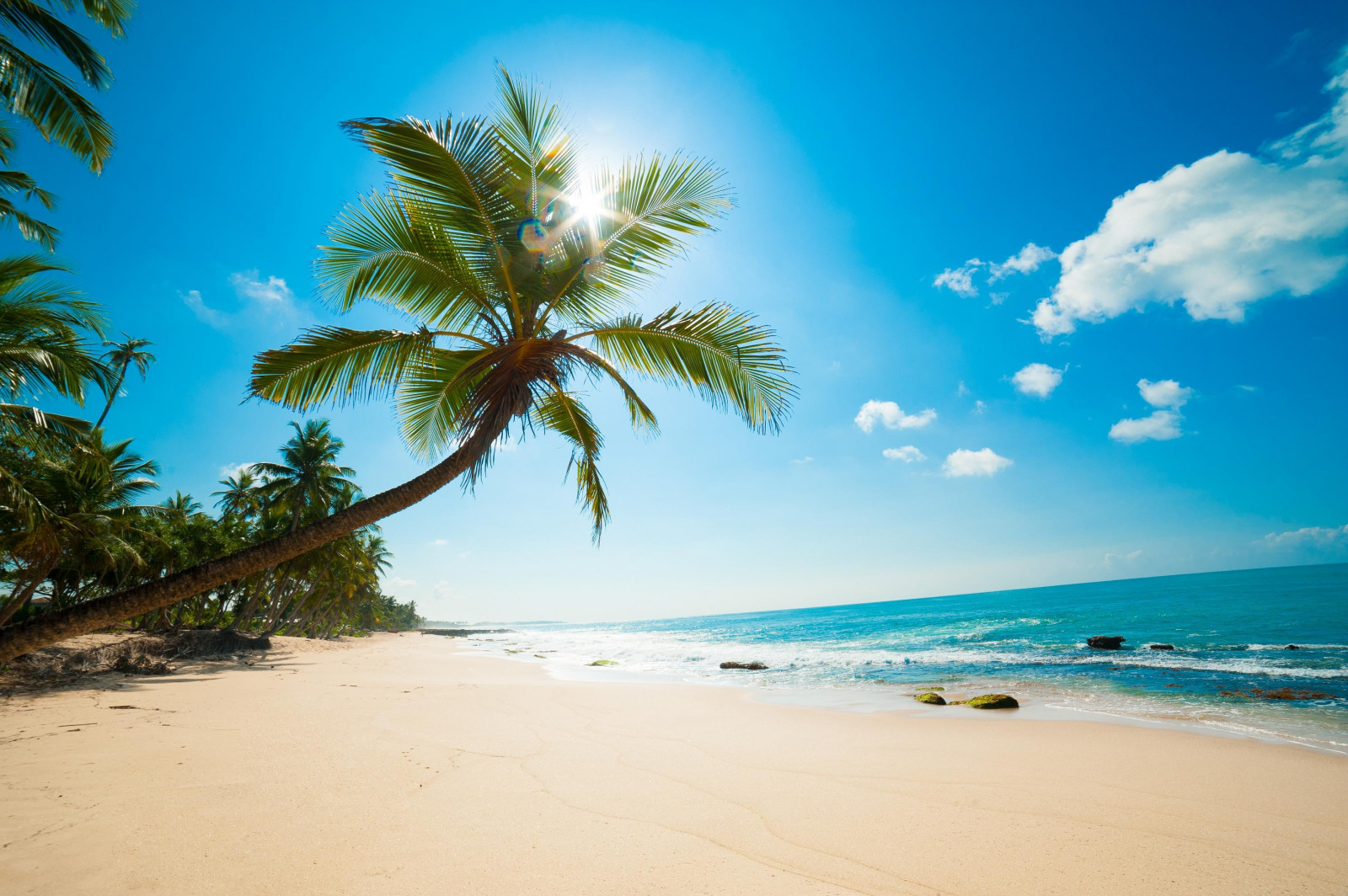 sunlight, sea, bay, shore, sand, sky, beach, coast, palm trees, horizon, island, lagoon, cape, Caribbean, vacation, Surf, tree, ocean, wave, tropics, body of water, arecales, palm family