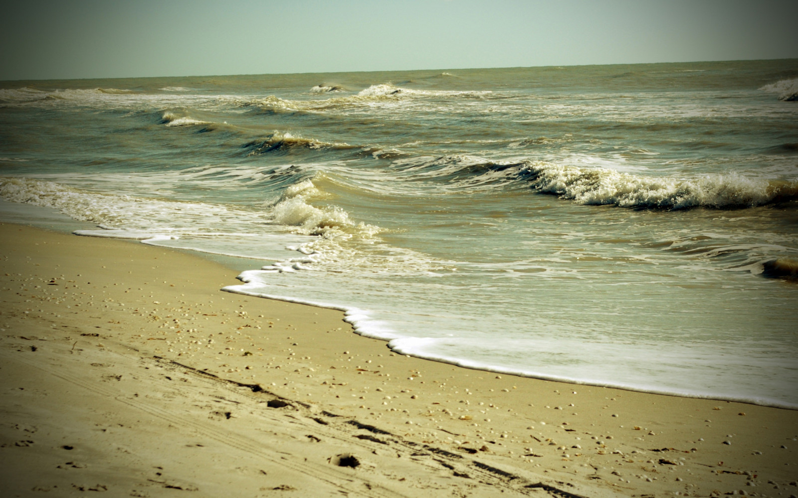 sea, sand, water, dirty, ocean, beach