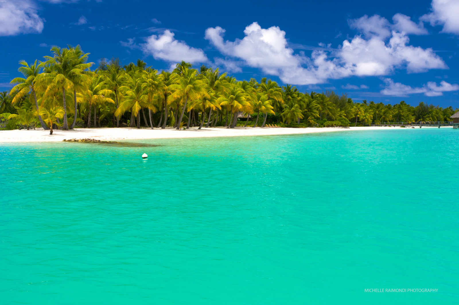 sea, bay, shore, beach, coast, palm trees, swimming pool, horizon, tropical, island, lagoon, summer, cape, Caribbean, Maldives, vacation, ocean, archipelago, cove, islet, tropics, cay, landform, geographical feature, atoll, inlet