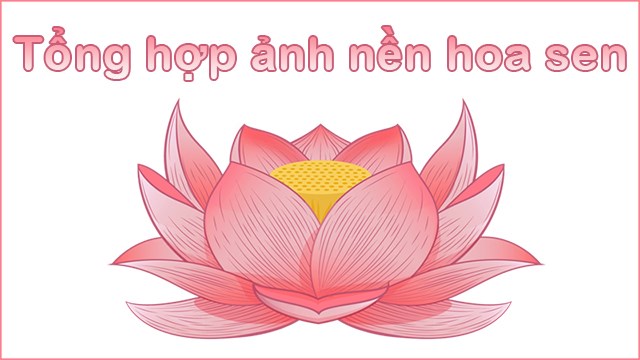 Đẹp mắt với hình ảnh chụp đầm sen