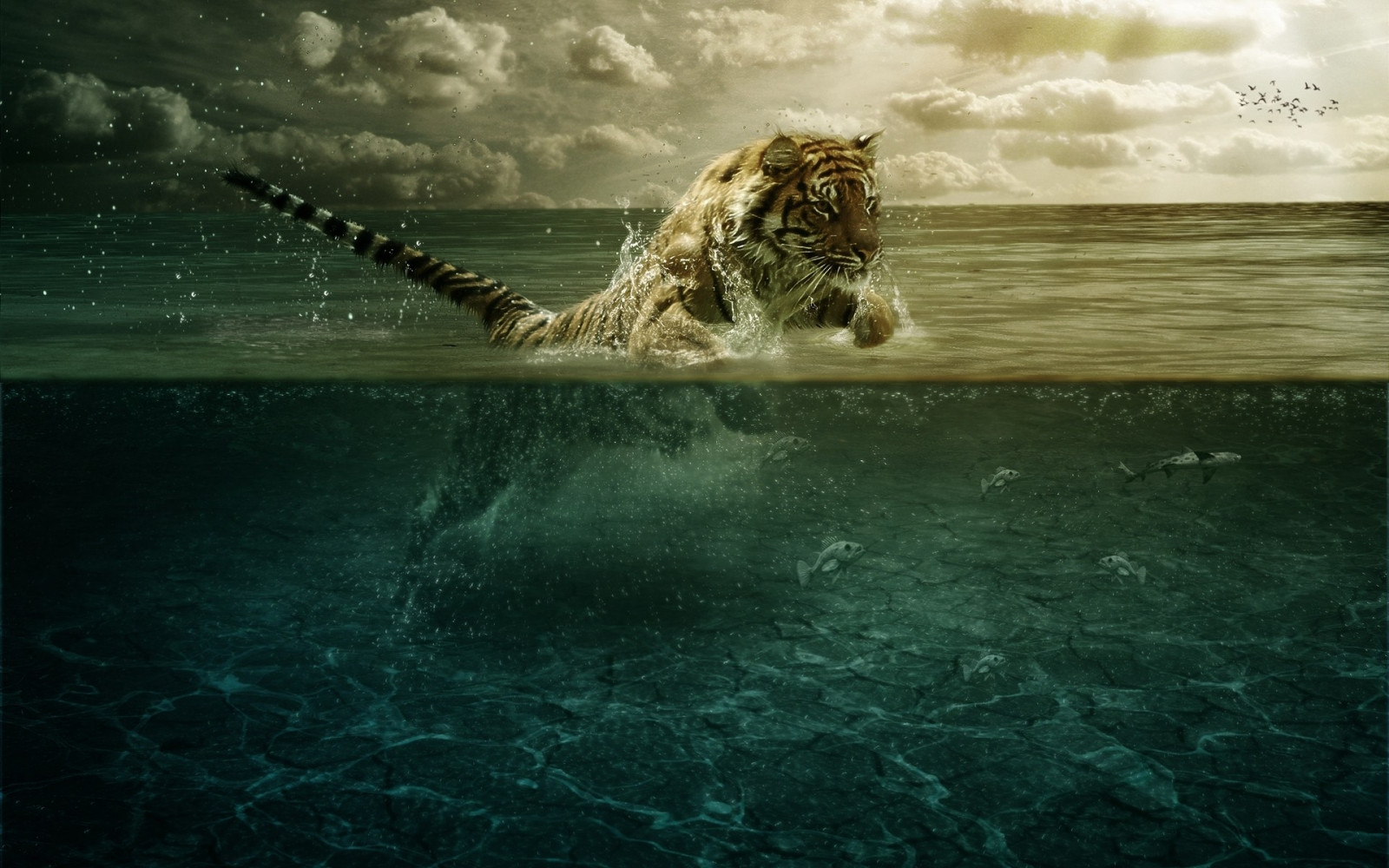 sea, reflection, tiger, underwater, hunting, ocean, wave, jump, darkness, screenshot, computer wallpaper