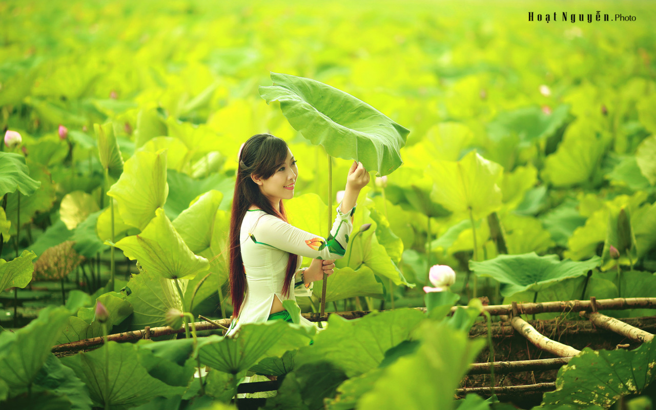 sexy girl, Vietnam beautiful girl, Girl Việt xinh, hot girl, ao dai