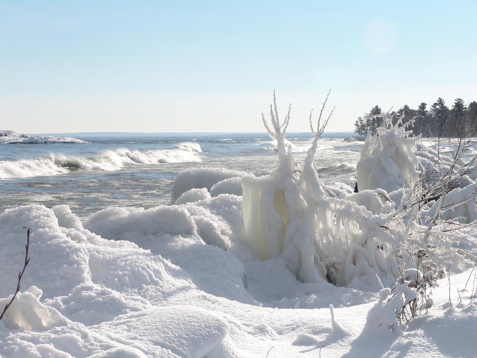 sea, water, shore, sky, snow, winter, ice, waves, coast, frost, Arctic, Freezing, tundra, melting, tree, ocean, arctic ocean, polar ice cap